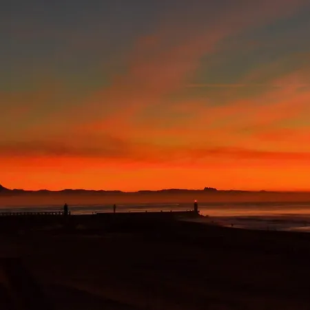 T1bis Aloha Avec Terrasse En Front De * קפברטון