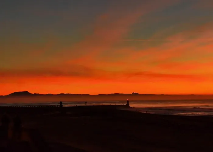 T1bis Aloha Avec Terrasse En Front De * Capbreton