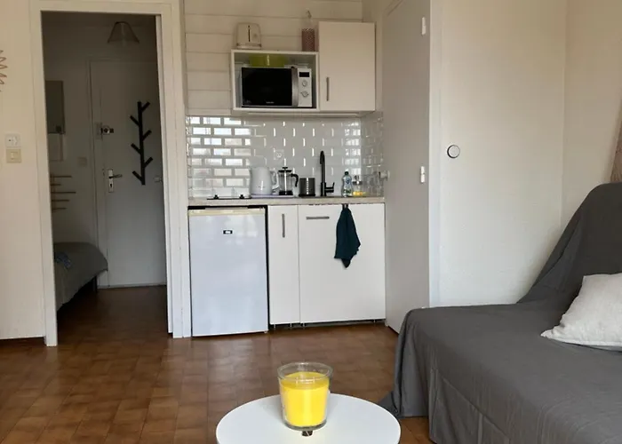 T1bis Aloha Avec Terrasse En Front De Apartment