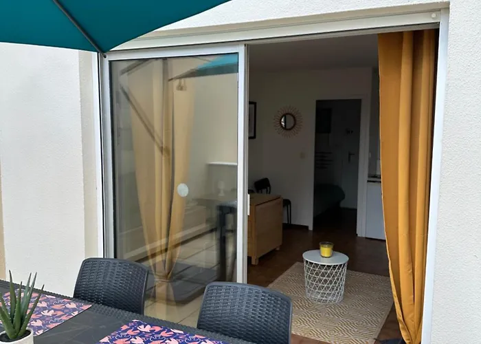 T1bis Aloha Avec Terrasse En Front De