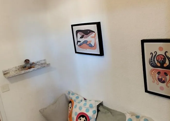 T1bis Aloha Avec Terrasse En Front De